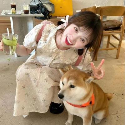 落花凋零